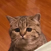แอดเอง😺