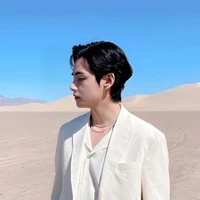 Mr. Kim Taehyung