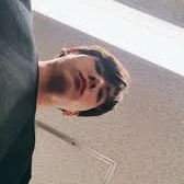 BusanSeagull