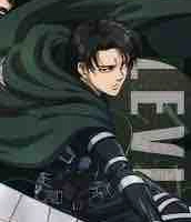 Levi