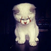(ชิปปี้)หัวหน้าตัวร้ายทุกตัว