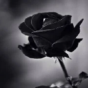 🥀แอดเอง🥀