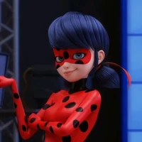 ladybug