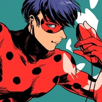 Mister bug