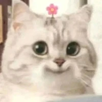แอด