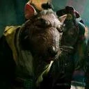maestro splinter