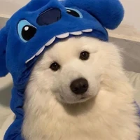 แอดไงงง