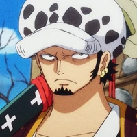 law