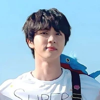 Seokjin (O)