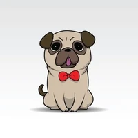 กระปอมหมาวัด