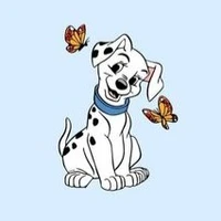 โอเลี้ยงหมาพิการ