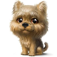 จูนี่หมาจร