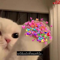 ฟ้าใส