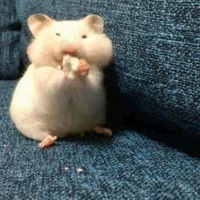 แอด(พระเจ้า)