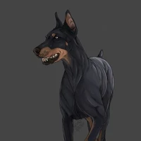 Otis
