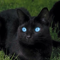 luna