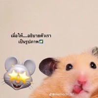แอดเอง~~
