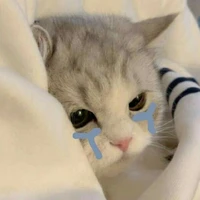 แอดเองค่าา