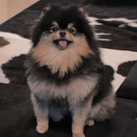 yeontan 