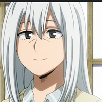 rei todoroki