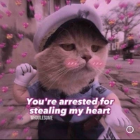 Tae’s fans