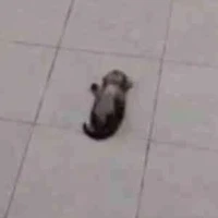 ？？？