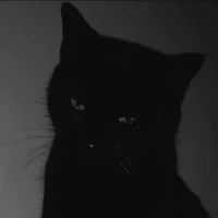 lili(kucing Jey)