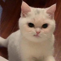 จี