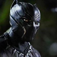pantera negra