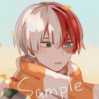 Todoroki Shoto