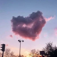 แอดเอง