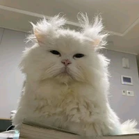 ?