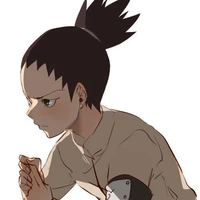 shikadai Nara 🌪️