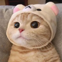เซียวเสี่ยว(น้องเรา/ร่างแมว)