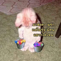 แอด อิง เอง💐💫