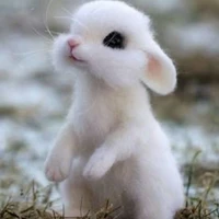 pinki