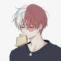 todoroki