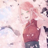 sakura