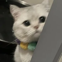แอดเอง