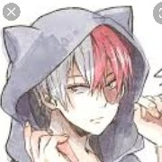 Todoroki