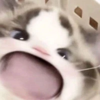เเอดเอง