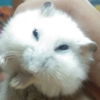 แอดเองค่ะ