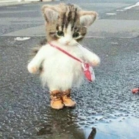 เเอดเอง