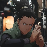 Shikamaru(Sr)