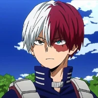 shoto todoroki (A)