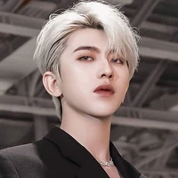 โชกุน//พระเอก