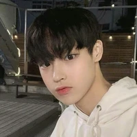 เหนือ