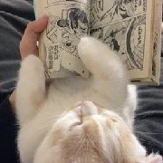 แอด