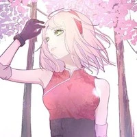 sakura