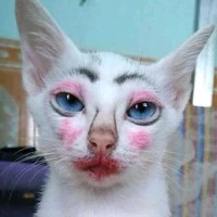 คนอ่านสุดสวย